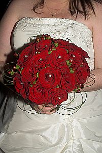 IMG_550903-sml